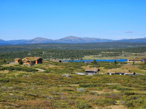 Varden